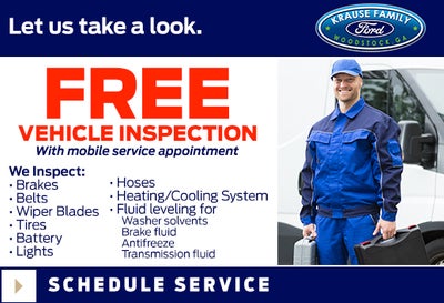 Free vehicle inspection.